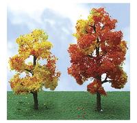 Pro-Elite Tree, Sycamore Autumn 3.5-4"(2)