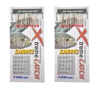 PRO FILSTAR Sabiki - Set di esche a molla, 2 x 10 ganci da pesca N10, preventivo DIA0,20 mm, per la pesca in mare, per sgombro e aringhe, per pesca con aringhe, sgombro, pesce persico, per sport in