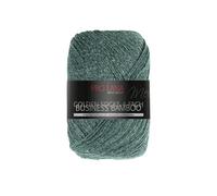 Pro Lana Golden Socks Business Bamboo - Gomitolo di lana per calzini, circa 400 m, 512, 100 g