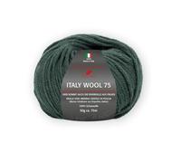 Pro Lana Italy Wool 75 circa 75 m col. 268 50 g