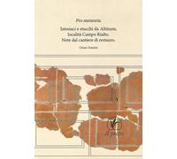 Pro memoria. Intonaci e stucchi da Altinum Località Campo Rialto. Note dal canti