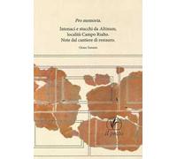 Pro memoria. Intonaci e stucchi da Altinum Località Campo Rialto. Note dal cantiere di restauro