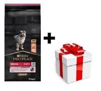 PRO PLAN Sensitive Skin Puppy cibo ricco di salmone 12kg + sorpresa per il cane GRATIS