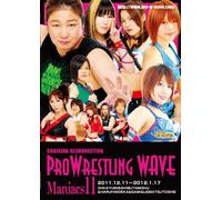 PRO WRESTLING WAVE Maniacs11 [マニアックス11] [DVD]