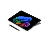 PRO12IN C8/16/256 PLAT