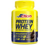 PROACTION Srl PROACTION PROTEIN WHEY CONCENTRATE CIOCCOLATO 750 G SENZA GLUTINE
