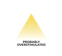 Probably Overstimulated Journal - Funny Relatable Lined Notebook for Stress, Thoughts, Notes & Daily Life - 6x9 Softcover, 120 Pages