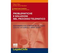 Problematiche e soluzioni del processo telematico