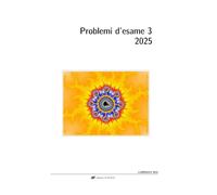 Problemi d'esame 3: 2025
