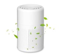 Probuk Air Purifier Portable con Filtro HEPA ad Alta Efficienza, Silenzioso 37dB, per Camera da Letto, Soggiorno, Bagno e Seminterrato, Rimuove Polvere, Polline, Odori e Fumo