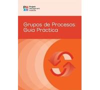Process Groups: A Practice Guide (SPANISH) (Tascabile)