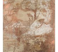 Process Of Elimination