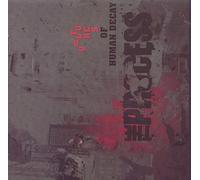 Process - VULTURES OF HUMAN DECAY