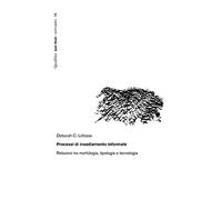 Processi di insediamento informale. Relazioni tra morfologia, tipologia e tecnologia