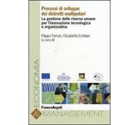 Processi di sviluppo dei distretti multipolari. La gestione delle risorse umane per l'innovazione tecnologica e organizzativa
