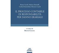 Processo contabile di responsabilità per danno erariale