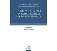Processo contabile di responsabilità per danno erariale