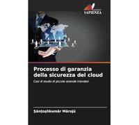 Processo di garanzia della sicurezza del cloud: Casi di studio di piccole aziende irlandesi