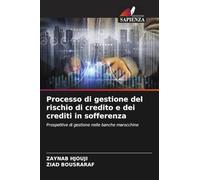 Processo di gestione del rischio di credito e dei crediti in sofferenza: Prospettive di gestione nelle banche marocchine