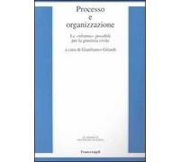 Processo e organizzazione. Le «riforme» possibili per la giustizia civile