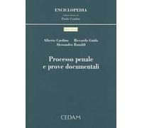 Processo penale e prove documentali
