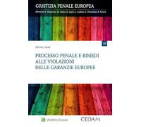 Processo penale e rimedi alle violazioni delle garanzie europee