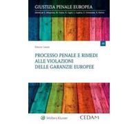 Processo penale e rimedi alle violazioni delle garanzie europee