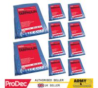 ProDec Resistente Telone 5.5x3.7m Impermeabile Campeggio Blu Terra Foglio