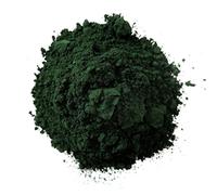 prodigital PIGMENTO Puro in Barattolo ERMETICO da 100 ML. - Pigmento in Polvere per immumerevoli Usi Olio, Tempera, Affreschi, Encausto, Colorante, Coloranti (Verde Scuro)