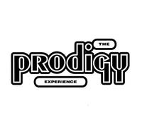 Prodigy - Experience
