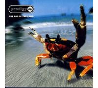 Prodigy - The Fat Of The Land