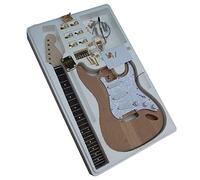 Prodotti Semilavorati Per Chitarra Elettrica A 6 Corde Con Un Set Completo Di Accessori Placcati In Oro Autoassemblati insieme professionale della chitarra elettrica