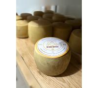 Prodotti tipici Sardo - Formaggio Di Osilo Pecorino Stagionato forma intera