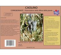 Prodotto Naturale A Base di CAOLINO Ottimo Anche Contro LA Mosca DELL'OLIVO - Biologico - kg 20