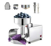 Produttore Salsa Pomodoro Elettrico 450W,Colino per Pomodori Commerciale Acciaio Inoxydabile,Macchina Macinare Motore Rame Puro 50-160 Kg/H,per Salsa,Lamponi,Fatto in Casa Regalo di Vacanze Famiglia