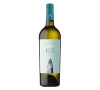 PRODUTTORI DI MANDURIA Verdeca Salento ""Alice""