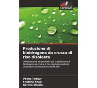 Produzione di bioidrogeno da crusca di riso disoleata: Ottimizzazione dei parametri per la produzione di bioidrogeno da crusca di riso disoleata mediante Clostridium acetobutylicum NCIM 2877