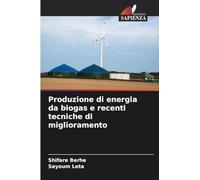 Produzione di energia da biogas e recenti tecniche di miglioramento