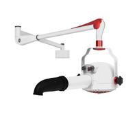 Produzione professionale Macchina per tirare i peli degli animali domestici Asciugacapelli Asciugacapelli Asciugacapelli verticale agli ioni negativi per cani e gatti