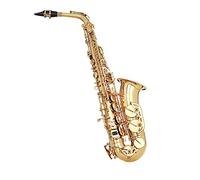 Proel Grassi GR SAL700 Sassofono Contralto School Laccato Chiave Mib + Custodia
