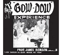 prof james benson-the gow dow experience
