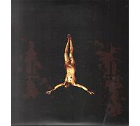 Profanatica The Enemy of Virtue (Vinyl LP) 12" Album