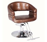 Professal - Sedia da salone con pompa idraulica, design girevole a 360°, altezza regolabile, ideale per parrucchieri e saloni di bellezza, taglia unica