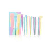 Professional 17-Piece Multi-Color Makeup Brush Set for Foundation, Concealer, Eyeshadow, Powder, Blush, Blending Brush, Beauty Tool