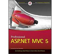 Professional Asp.net Mvc 5