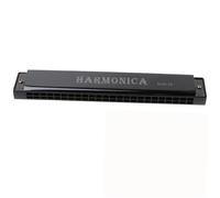 Professional C Key 24 Hole Armonica Buth Metal Organo Per Principianti(Black)
