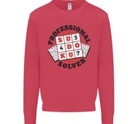 Professional Sudoku Solver Divertente Uomo Felpa