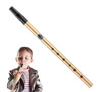 Professional Tin Flute, Beginner Tin Flute Whistle, Hand Percussion Tin