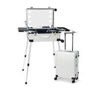 Professionale Alluminio Valigia Porta Trucchi, Valigetta Cosmetica con Gambe Regolabili, Valigetta Trucchi con 4 Ruote, Beauty Blogger Pieghevole, Tavolo Da Trucco con Ripiano Organizer(Silver,24in)