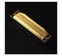Professionale Armonica Armonica A Chiave C A 10 Fori Per Principianti Professionista Che Suona Uno Strumento Armonica A 10 Fori